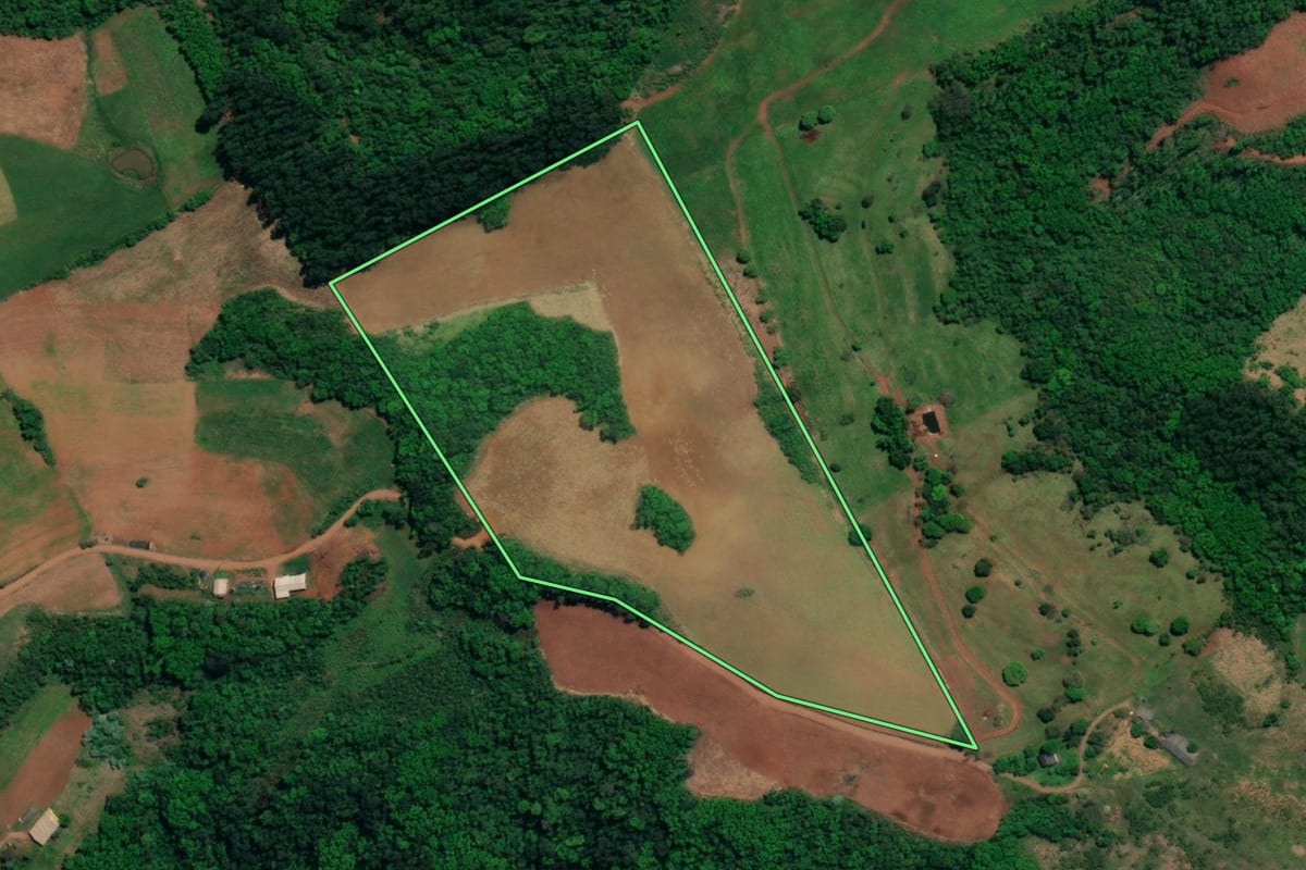 Imagem de satélite do imóvel rural em Mondaí (SC), com o contorno declarado no CAR desenhado por cima.