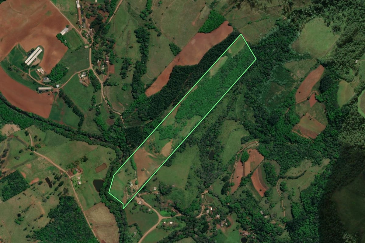 Imagem de satélite do imóvel rural em Mondaí (SC), com o contorno declarado no CAR desenhado por cima.