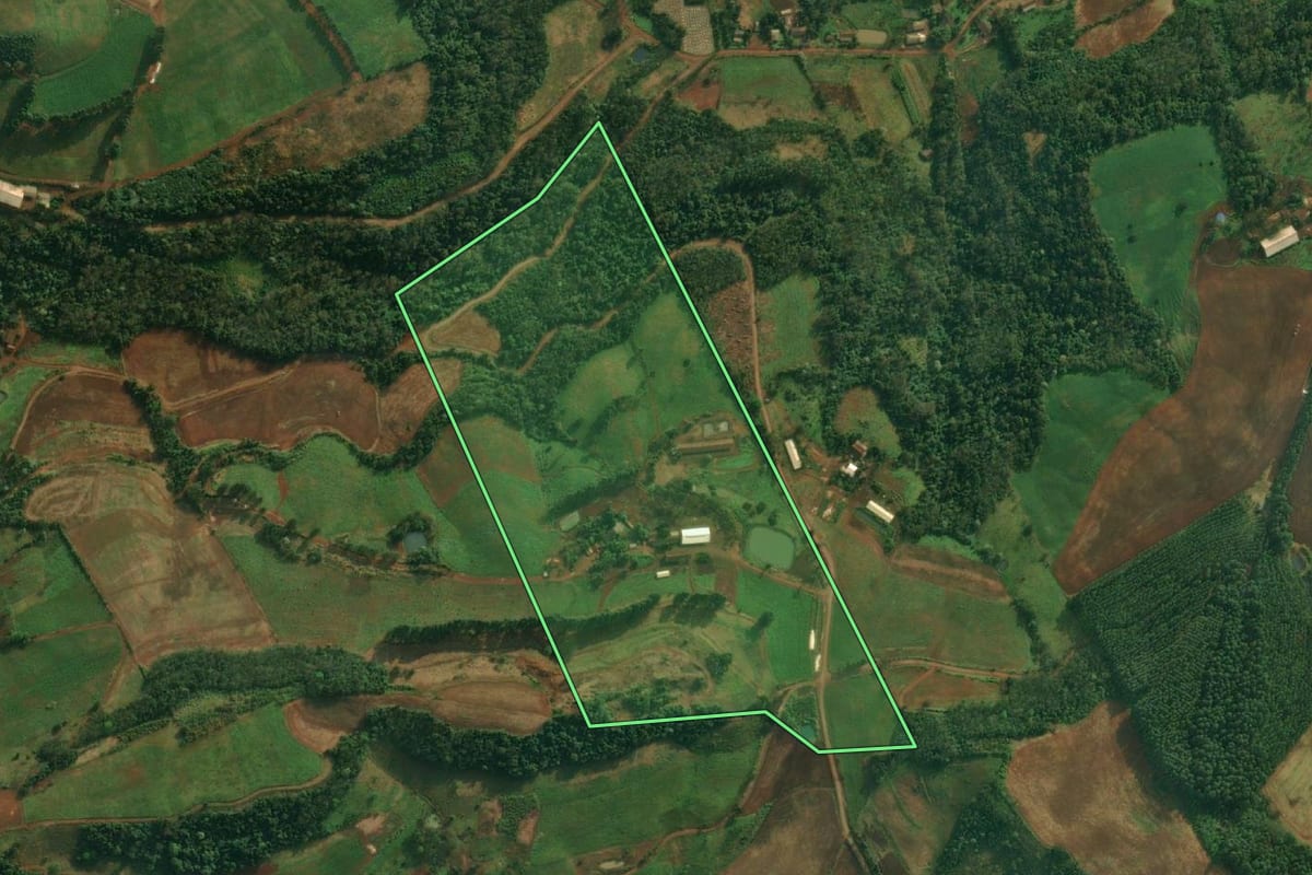 Imagem de satélite do imóvel rural em Mondaí (SC), com o contorno declarado no CAR desenhado por cima.