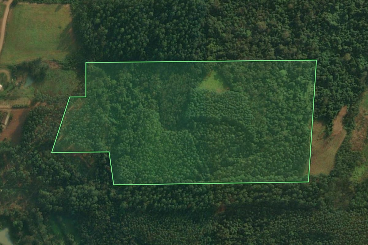 Imagem de satélite do imóvel rural em Mondaí (SC), com o contorno declarado no CAR desenhado por cima.