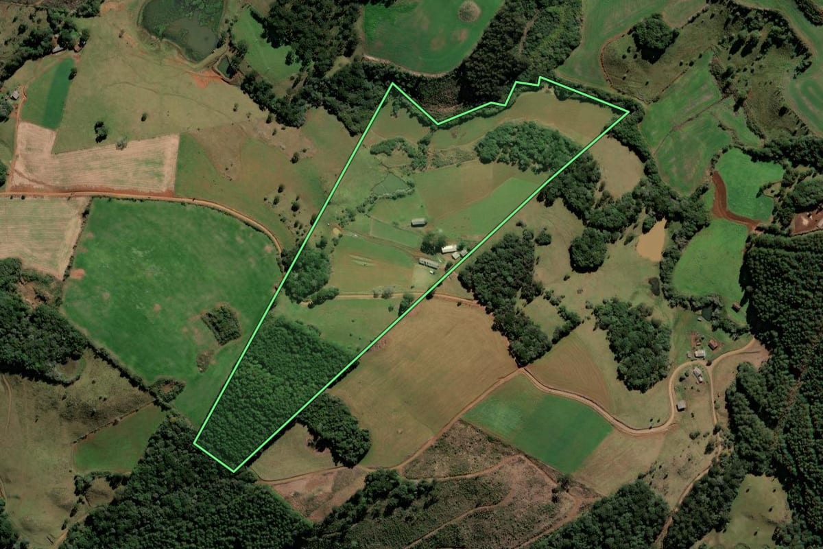 Imagem de satélite do imóvel rural em Monte Carlo (SC), com o contorno declarado no CAR desenhado por cima.