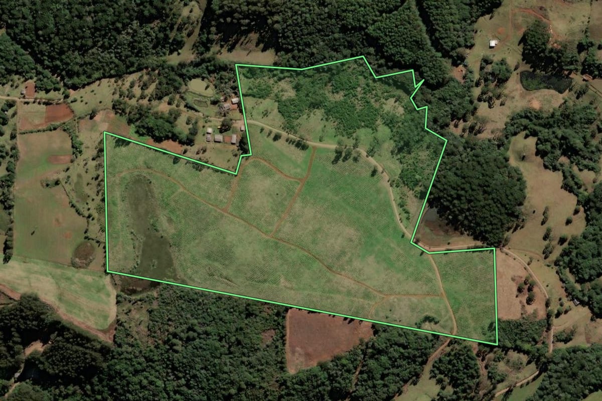 Imagem de satélite do imóvel rural em Monte Carlo (SC), com o contorno declarado no CAR desenhado por cima.