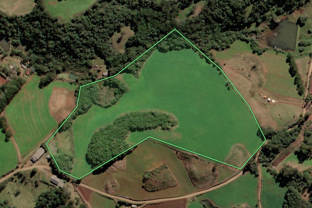 Imagem de satélite do imóvel rural em Monte Carlo (SC), com o contorno declarado no CAR desenhado por cima.