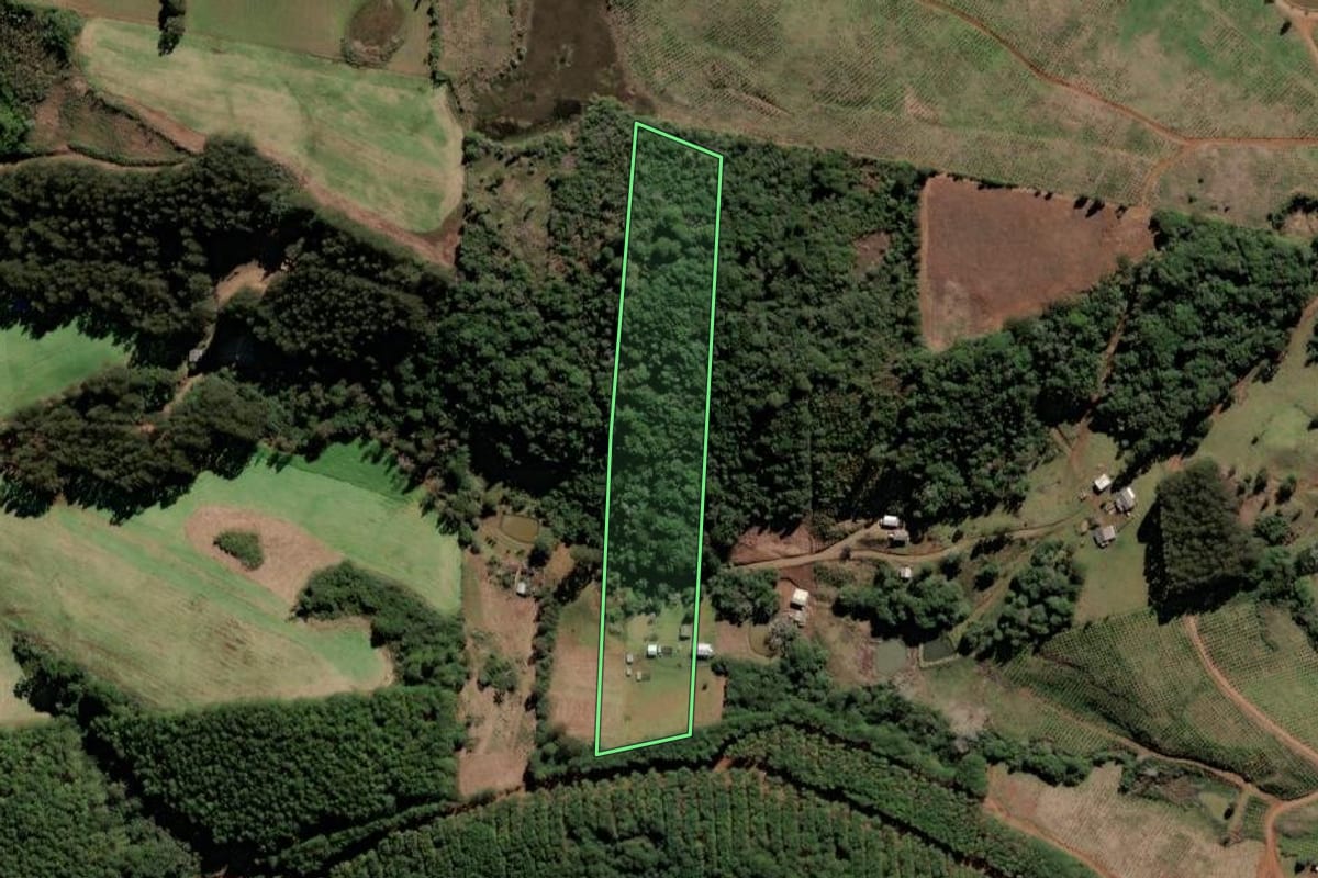 Imagem de satélite do imóvel rural em Monte Carlo (SC), com o contorno declarado no CAR desenhado por cima.