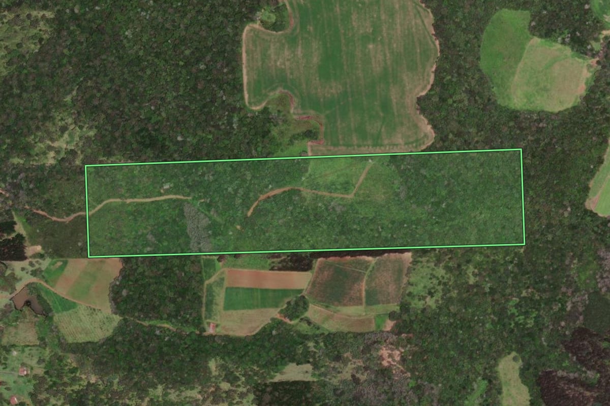 Imagem de satélite do imóvel rural em Monte Castelo (SC), com o contorno declarado no CAR desenhado por cima.