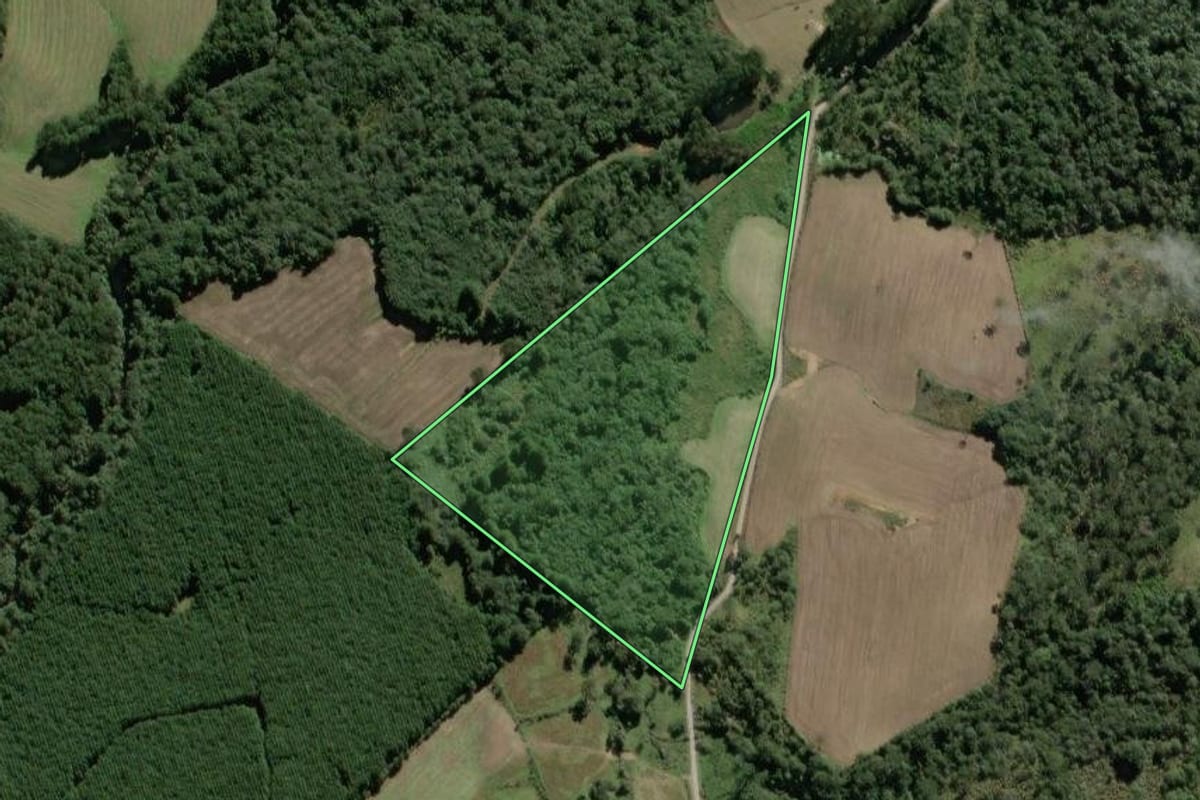 Imagem de satélite do imóvel rural em Monte Castelo (SC), com o contorno declarado no CAR desenhado por cima.