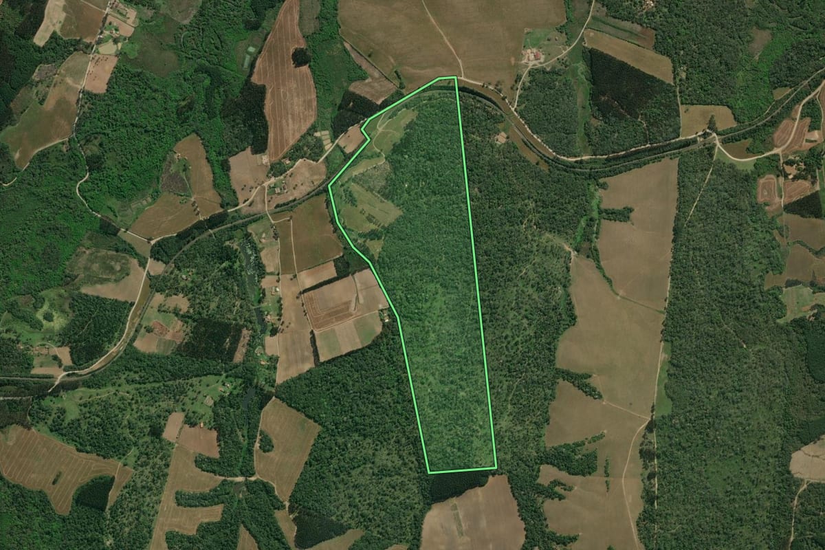 Imagem de satélite do imóvel rural em Monte Castelo (SC), com o contorno declarado no CAR desenhado por cima.