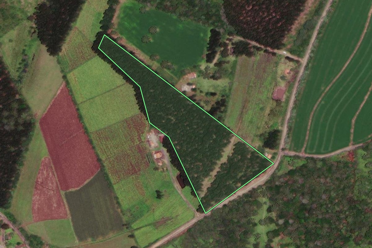 Imagem de satélite do imóvel rural em Monte Castelo (SC), com o contorno declarado no CAR desenhado por cima.