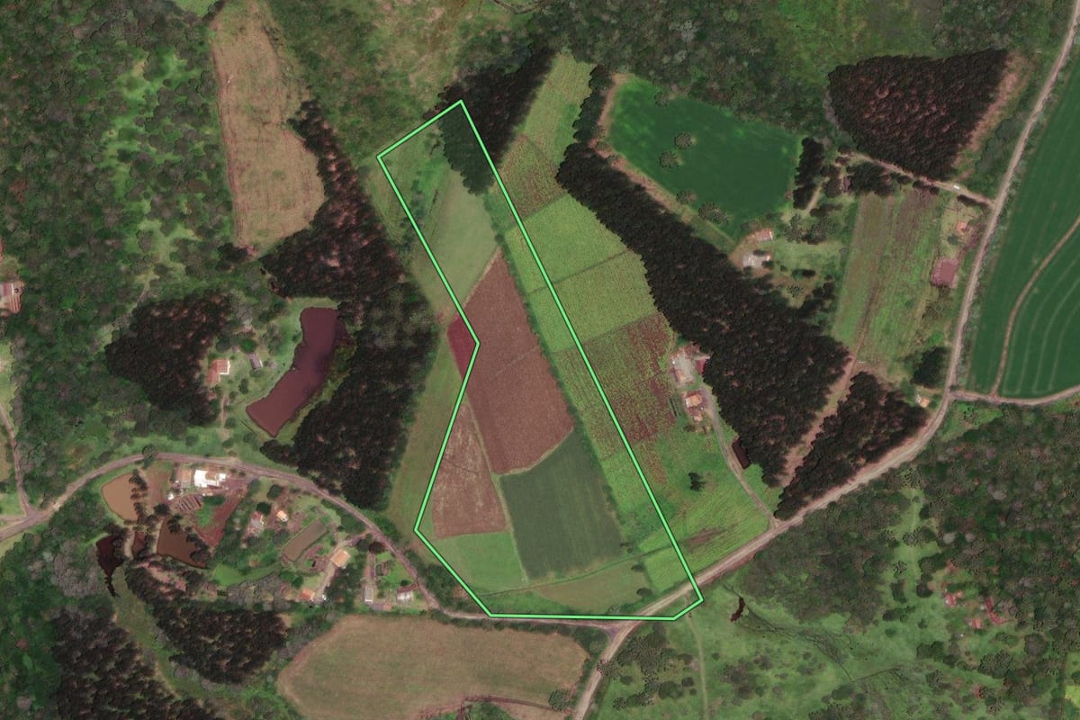 Imagem de satélite do imóvel rural em Monte Castelo (SC), com o contorno declarado no CAR desenhado por cima.