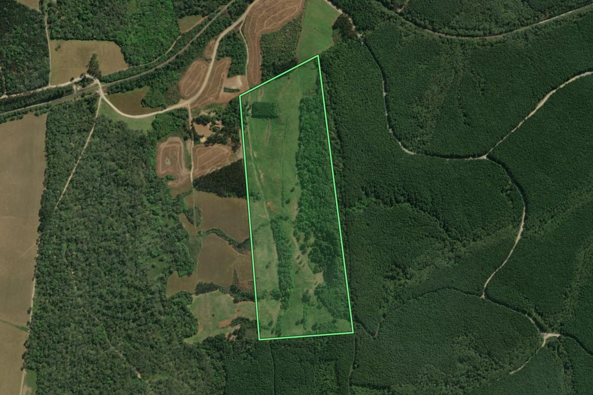 Imagem de satélite do imóvel rural em Monte Castelo (SC), com o contorno declarado no CAR desenhado por cima.