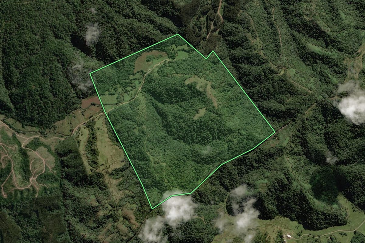 Imagem de satélite do imóvel rural em Monte Castelo (SC), com o contorno declarado no CAR desenhado por cima.