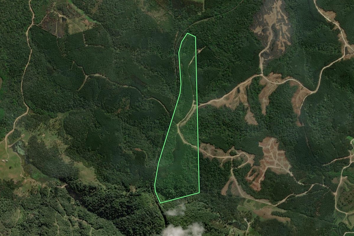 Imagem de satélite do imóvel rural em Monte Castelo (SC), com o contorno declarado no CAR desenhado por cima.