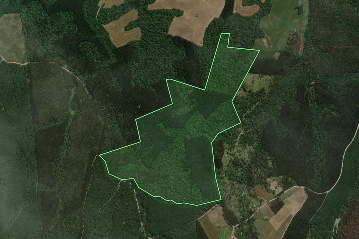Imagem de satélite do imóvel rural em Monte Castelo (SC), com o contorno declarado no CAR desenhado por cima.