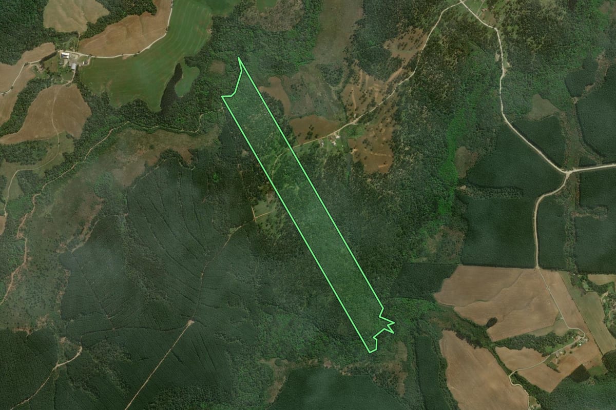 Imagem de satélite do imóvel rural em Monte Castelo (SC), com o contorno declarado no CAR desenhado por cima.