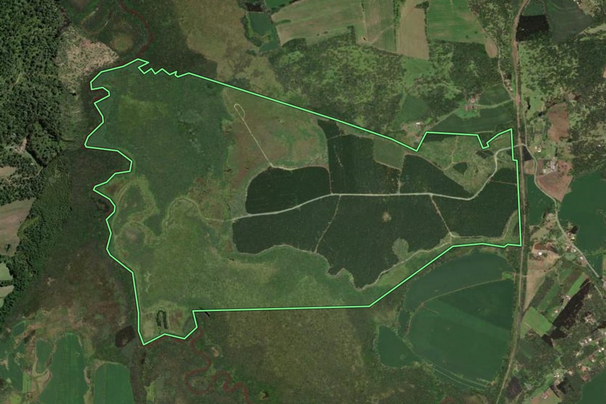Imagem de satélite do imóvel rural em Monte Castelo (SC), com o contorno declarado no CAR desenhado por cima.