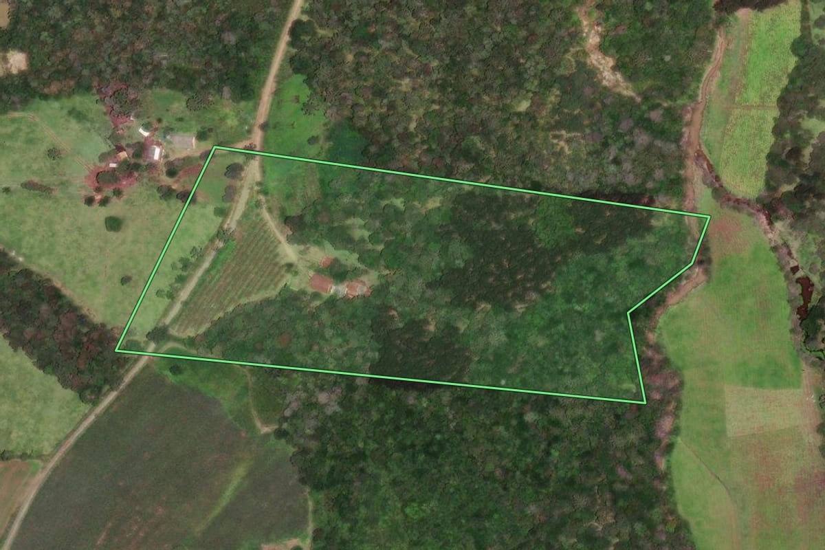 Imagem de satélite do imóvel rural em Monte Castelo (SC), com o contorno declarado no CAR desenhado por cima.