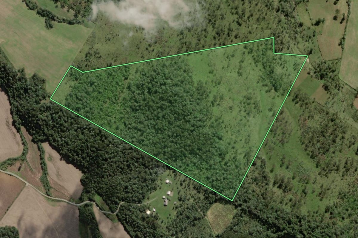 Imagem de satélite do imóvel rural em Monte Castelo (SC), com o contorno declarado no CAR desenhado por cima.