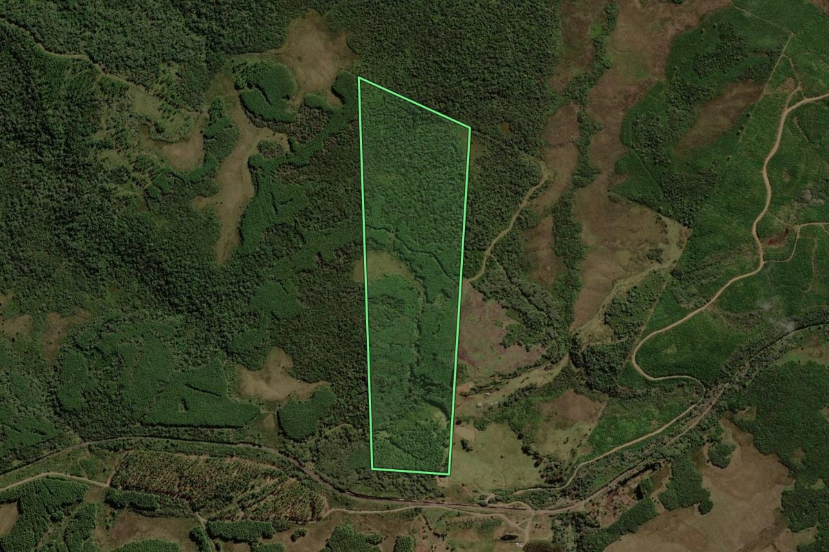 Imagem de satélite do imóvel rural em Monte Castelo (SC), com o contorno declarado no CAR desenhado por cima.