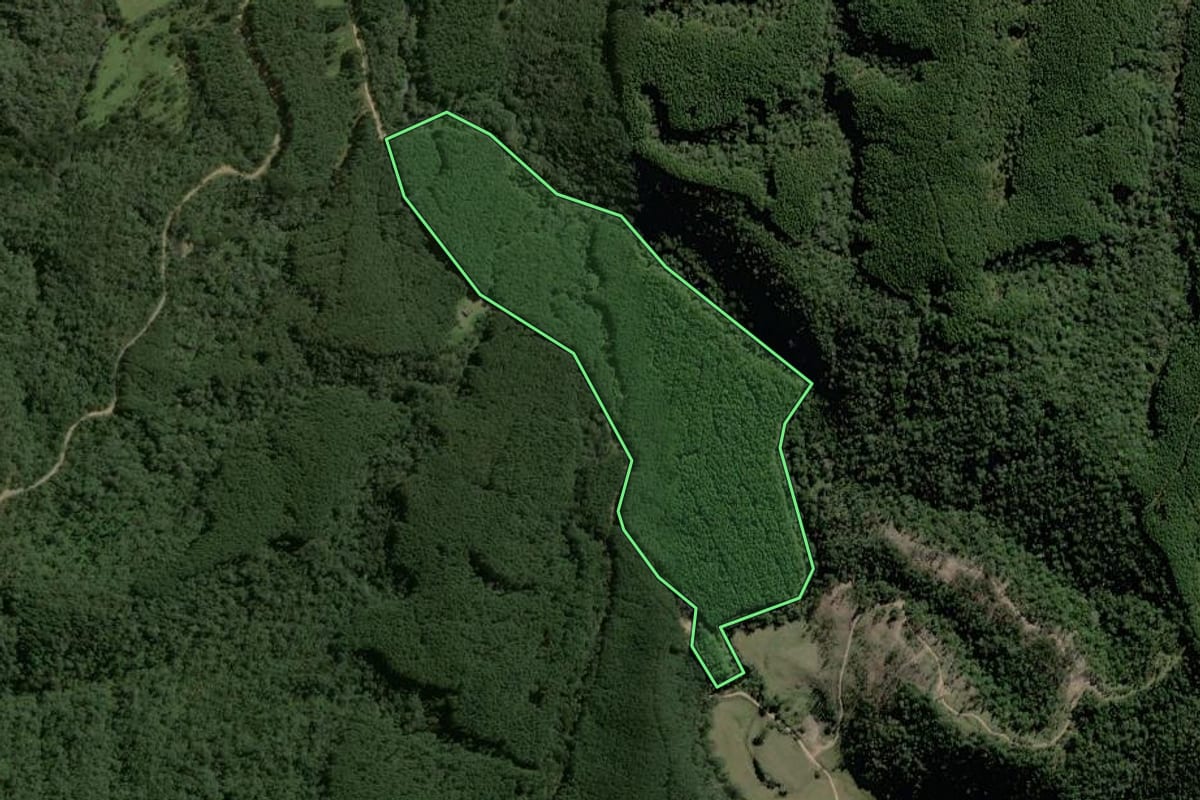 Imagem de satélite do imóvel rural em Monte Castelo (SC), com o contorno declarado no CAR desenhado por cima.