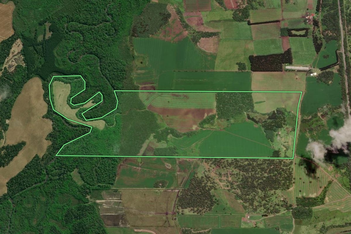 Imagem de satélite do imóvel rural em Monte Castelo (SC), com o contorno declarado no CAR desenhado por cima.