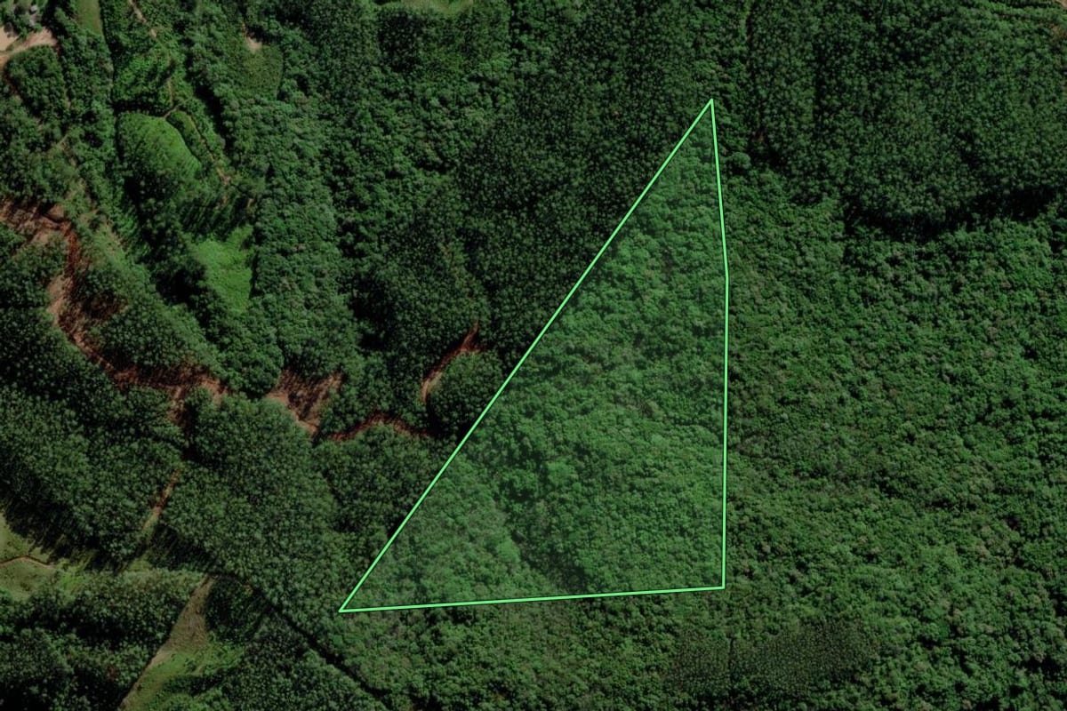 Imagem de satélite do imóvel rural em Morro Grande (SC), com o contorno declarado no CAR desenhado por cima.