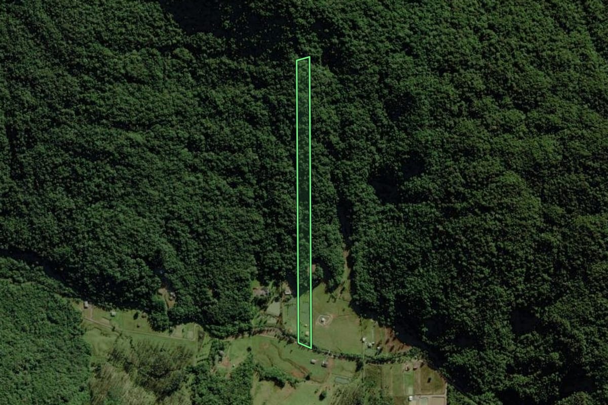 Imagem de satélite do imóvel rural em Morro Grande (SC), com o contorno declarado no CAR desenhado por cima.