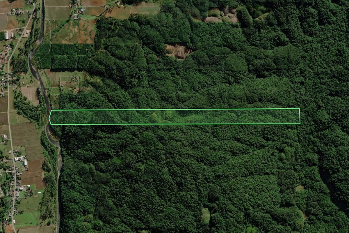 Imagem de satélite do imóvel rural em Morro Grande (SC), com o contorno declarado no CAR desenhado por cima.