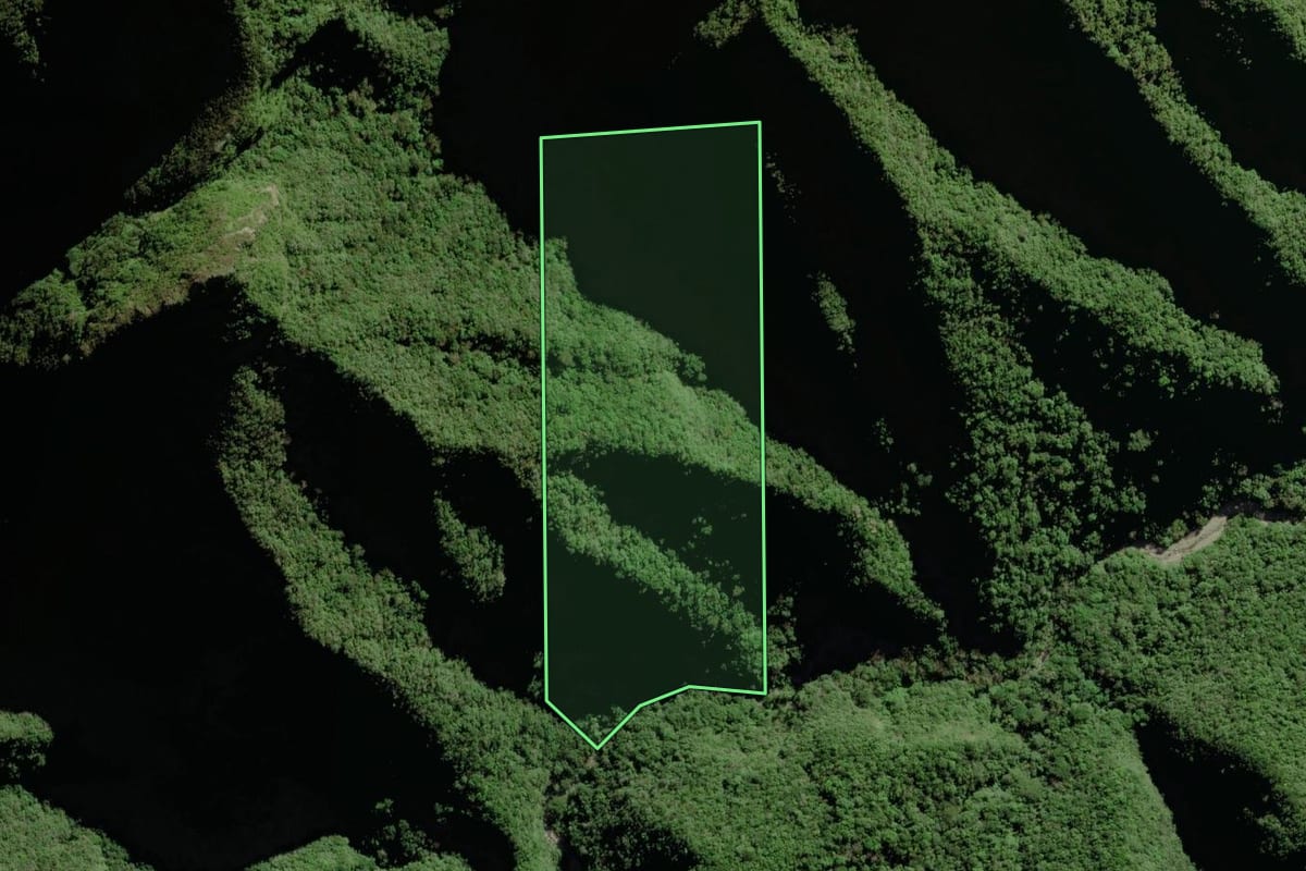 Imagem de satélite do imóvel rural em Morro Grande (SC), com o contorno declarado no CAR desenhado por cima.