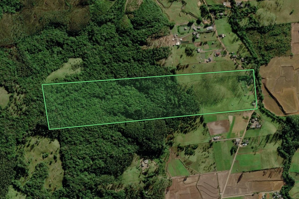 Imagem de satélite do imóvel rural em Morro Grande (SC), com o contorno declarado no CAR desenhado por cima.