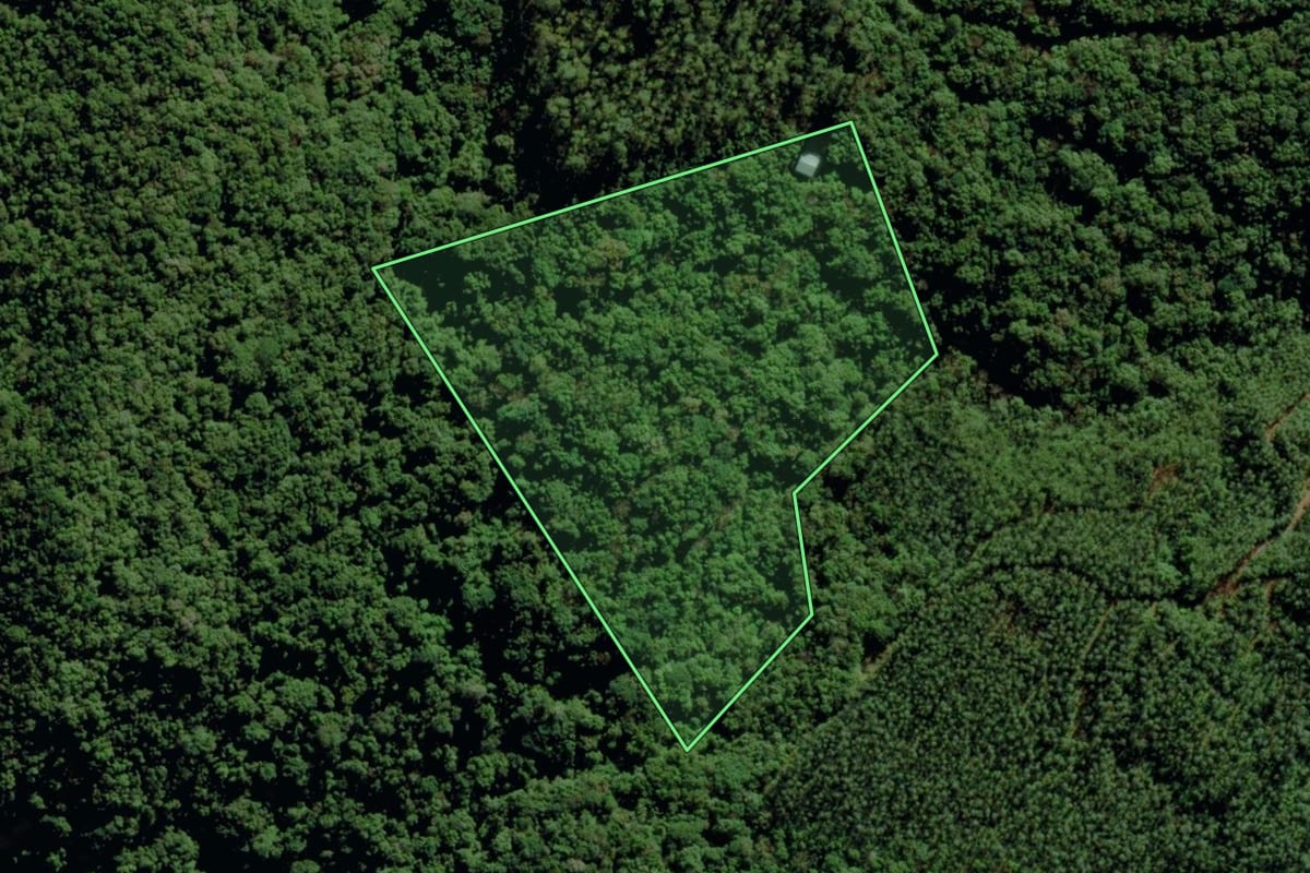 Imagem de satélite do imóvel rural em Morro Grande (SC), com o contorno declarado no CAR desenhado por cima.