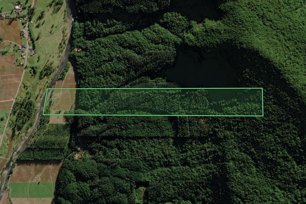 Imagem de satélite do imóvel rural em Morro Grande (SC), com o contorno declarado no CAR desenhado por cima.