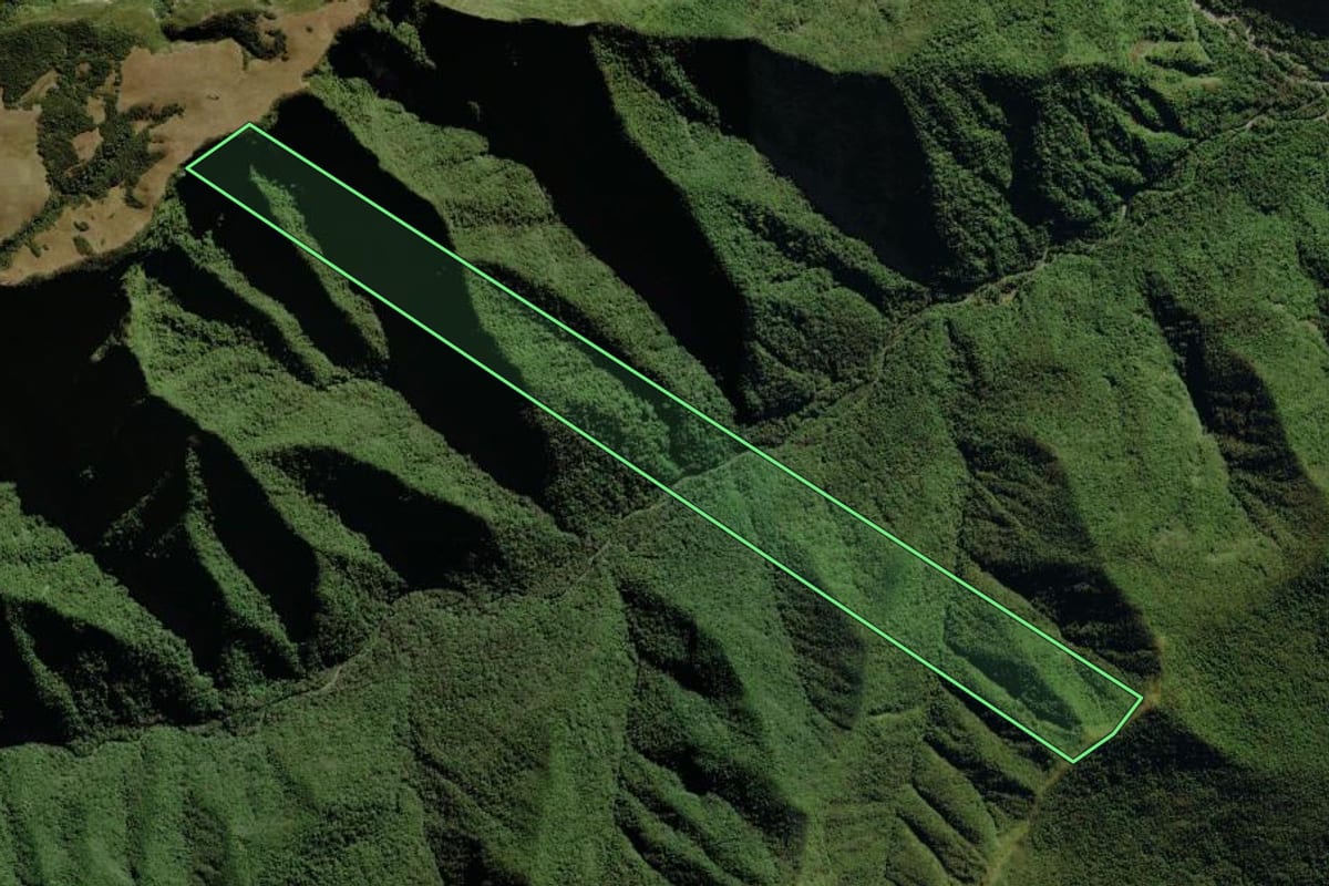 Imagem de satélite do imóvel rural em Morro Grande (SC), com o contorno declarado no CAR desenhado por cima.