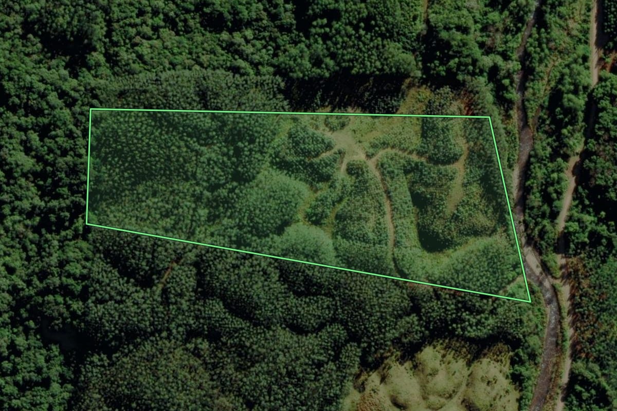 Imagem de satélite do imóvel rural em Morro Grande (SC), com o contorno declarado no CAR desenhado por cima.