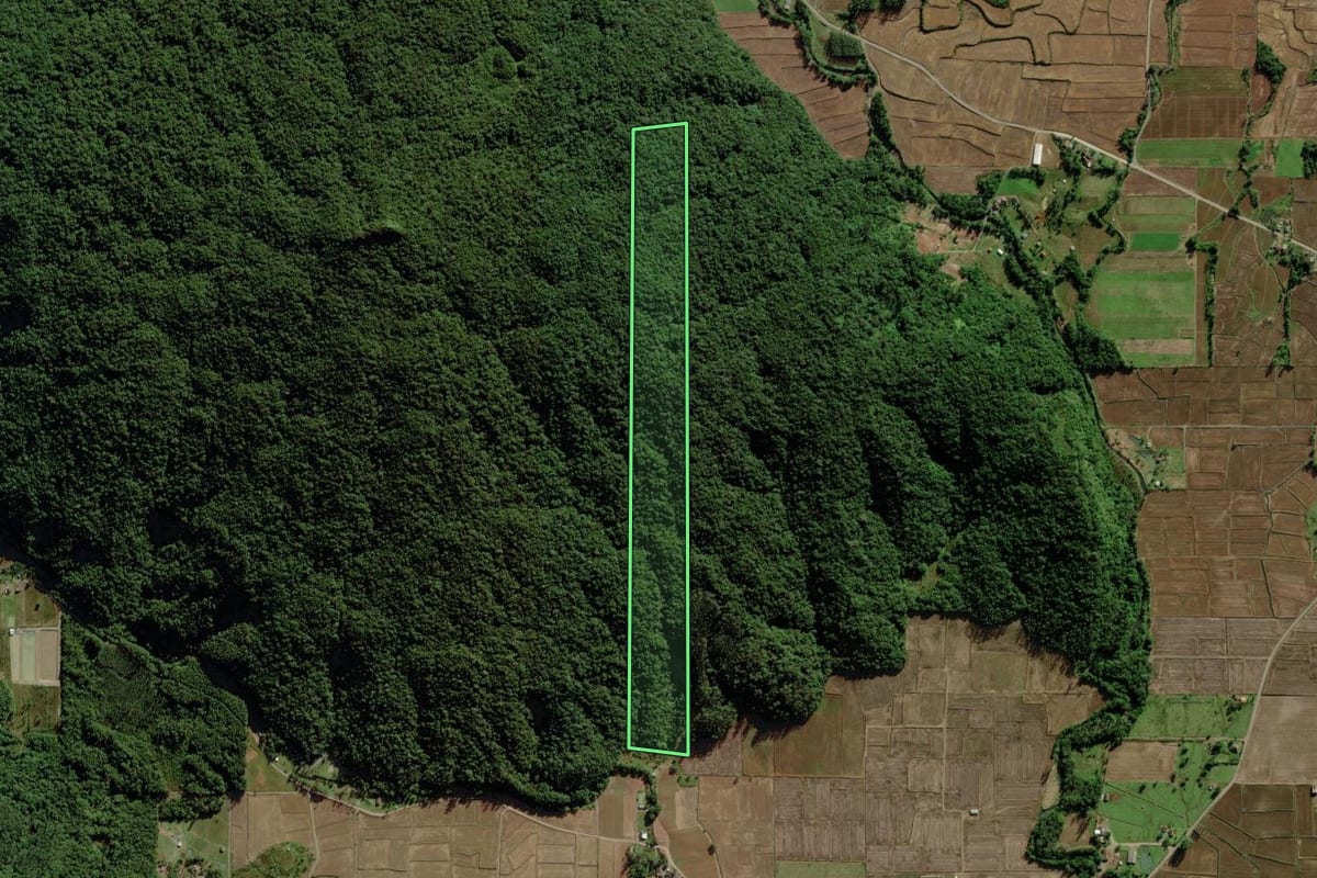 Imagem de satélite do imóvel rural em Morro Grande (SC), com o contorno declarado no CAR desenhado por cima.