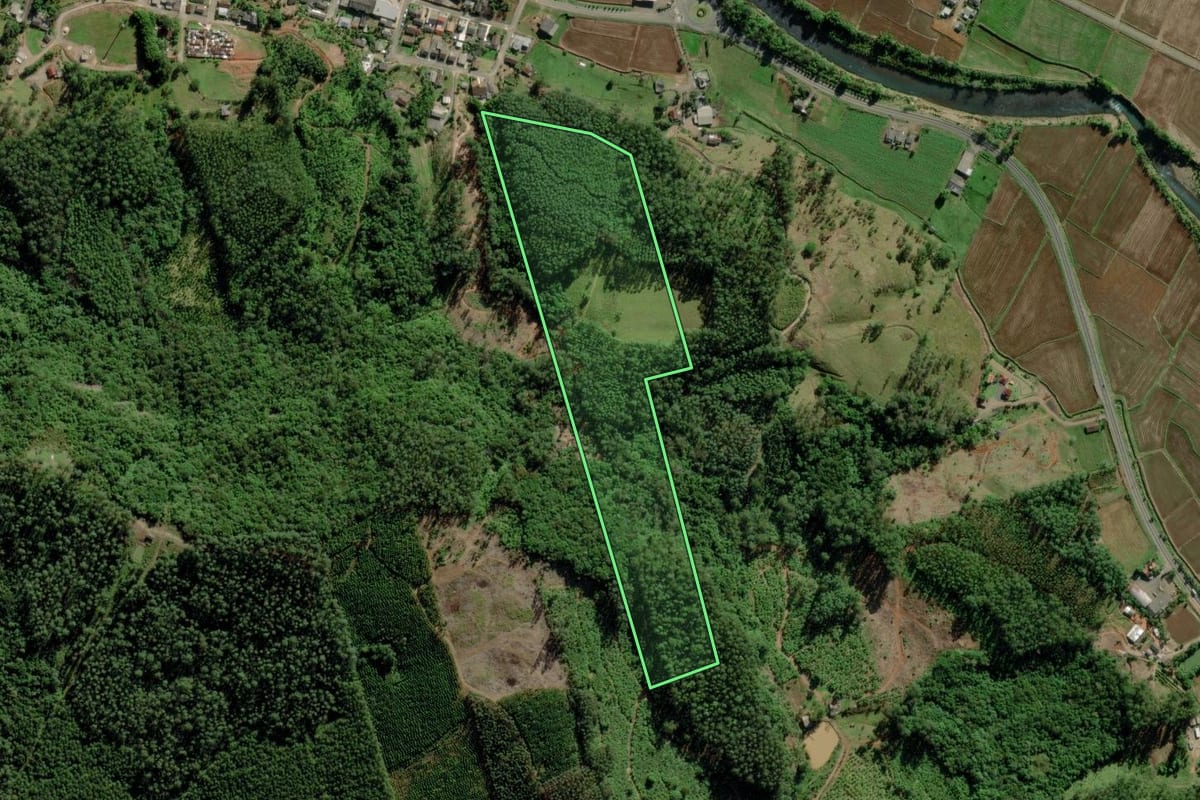 Imagem de satélite do imóvel rural em Morro Grande (SC), com o contorno declarado no CAR desenhado por cima.