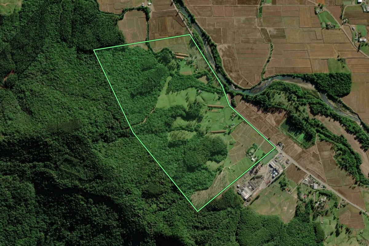 Imagem de satélite do imóvel rural em Morro Grande (SC), com o contorno declarado no CAR desenhado por cima.