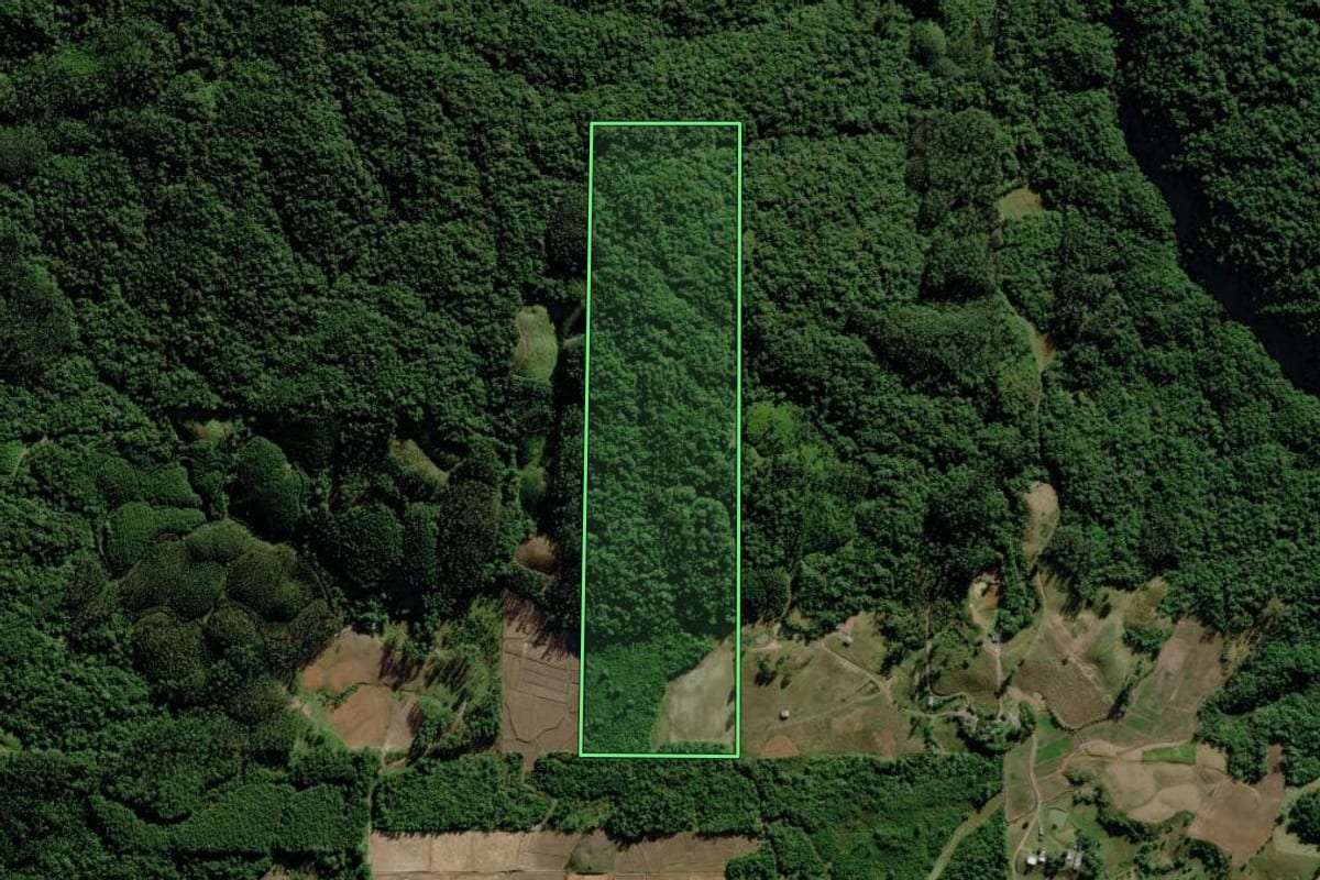 Imagem de satélite do imóvel rural em Morro Grande (SC), com o contorno declarado no CAR desenhado por cima.