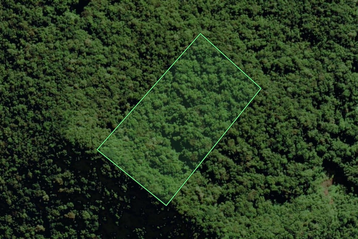 Imagem de satélite do imóvel rural em Morro Grande (SC), com o contorno declarado no CAR desenhado por cima.