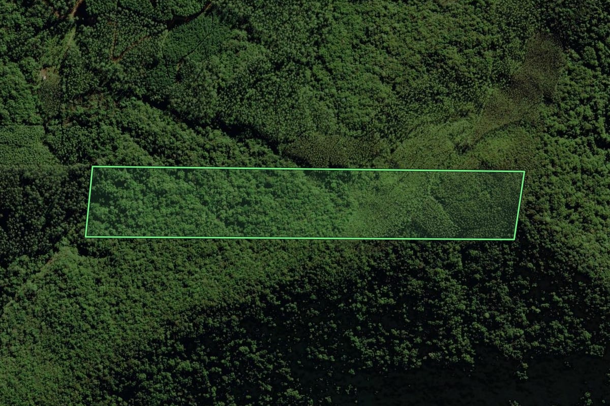 Imagem de satélite do imóvel rural em Morro Grande (SC), com o contorno declarado no CAR desenhado por cima.