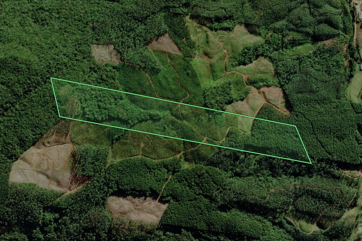 Imagem de satélite do imóvel rural em Morro Grande (SC), com o contorno declarado no CAR desenhado por cima.