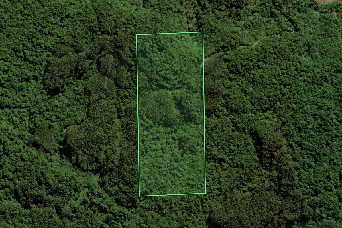 Imagem de satélite do imóvel rural em Morro Grande (SC), com o contorno declarado no CAR desenhado por cima.
