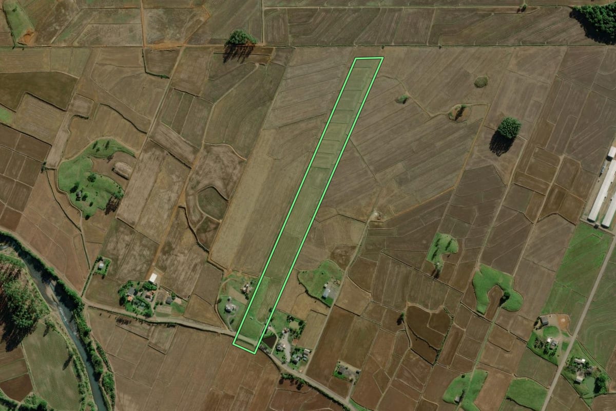 Imagem de satélite do imóvel rural em Morro Grande (SC), com o contorno declarado no CAR desenhado por cima.