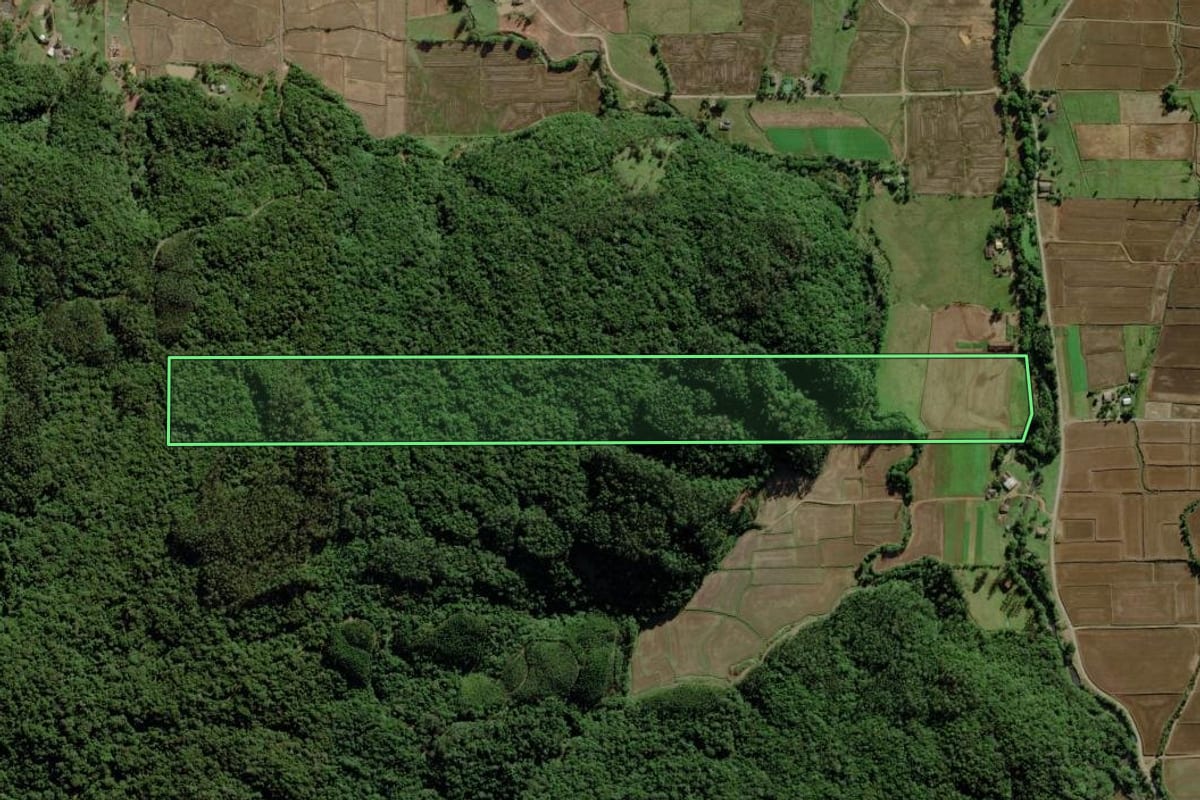 Imagem de satélite do imóvel rural em Morro Grande (SC), com o contorno declarado no CAR desenhado por cima.