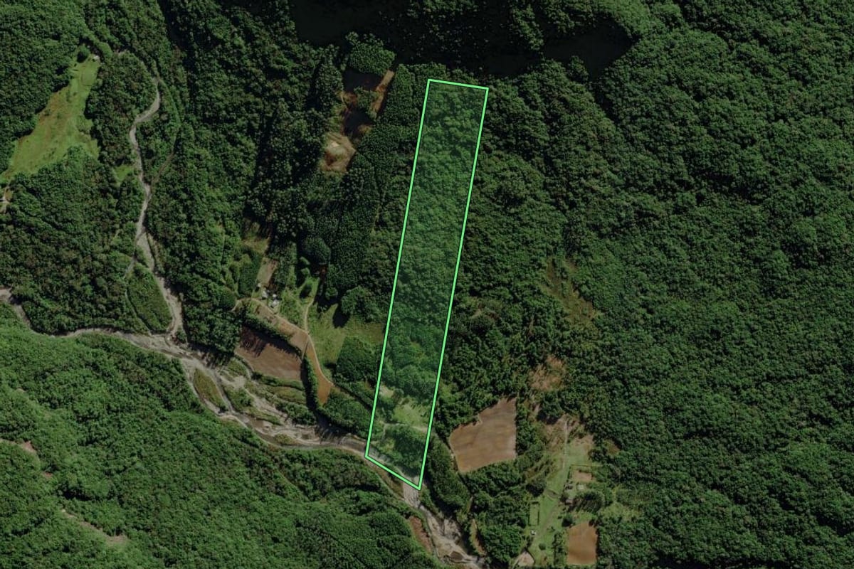 Imagem de satélite do imóvel rural em Morro Grande (SC), com o contorno declarado no CAR desenhado por cima.