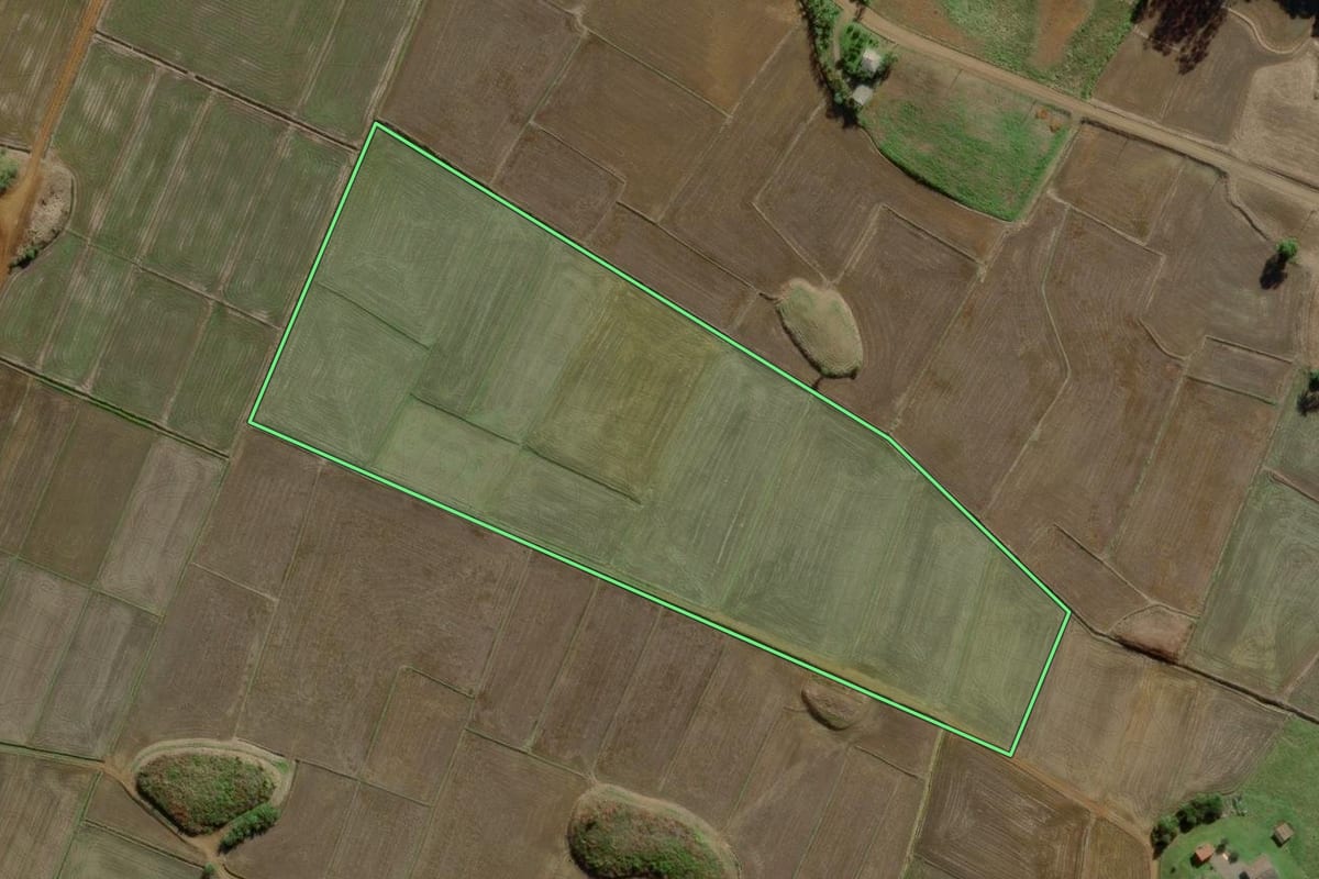 Imagem de satélite do imóvel rural em Morro Grande (SC), com o contorno declarado no CAR desenhado por cima.