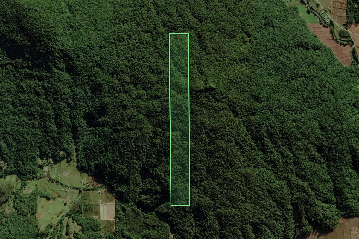 Imagem de satélite do imóvel rural em Morro Grande (SC), com o contorno declarado no CAR desenhado por cima.