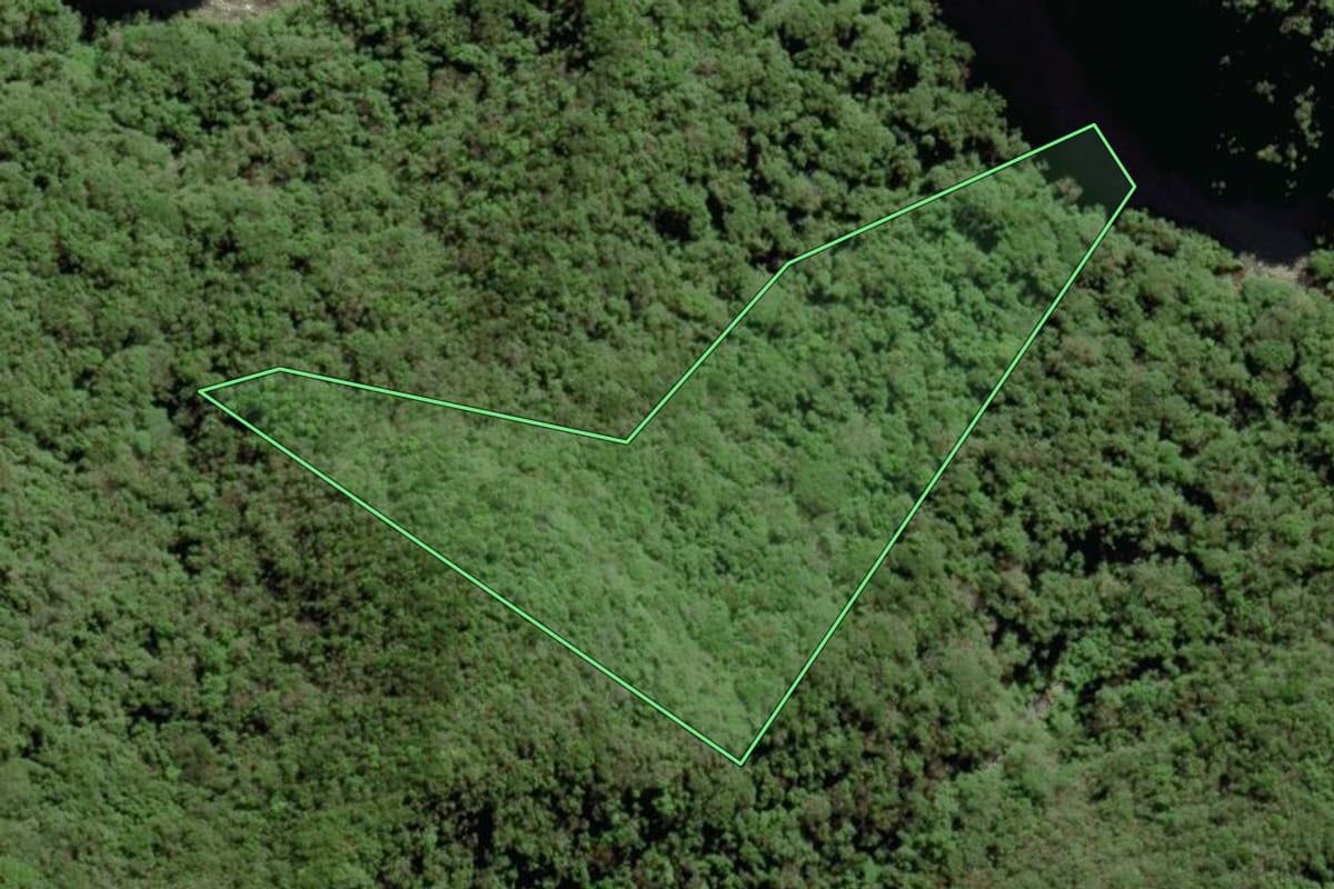 Imagem de satélite do imóvel rural em Morro Grande (SC), com o contorno declarado no CAR desenhado por cima.