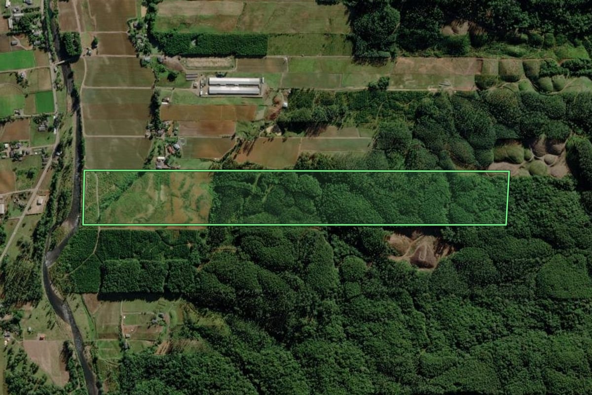 Imagem de satélite do imóvel rural em Morro Grande (SC), com o contorno declarado no CAR desenhado por cima.