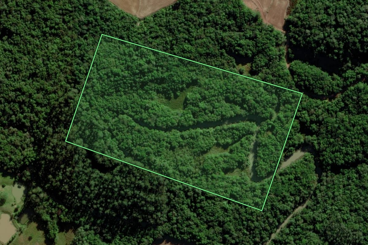 Imagem de satélite do imóvel rural em Morro Grande (SC), com o contorno declarado no CAR desenhado por cima.