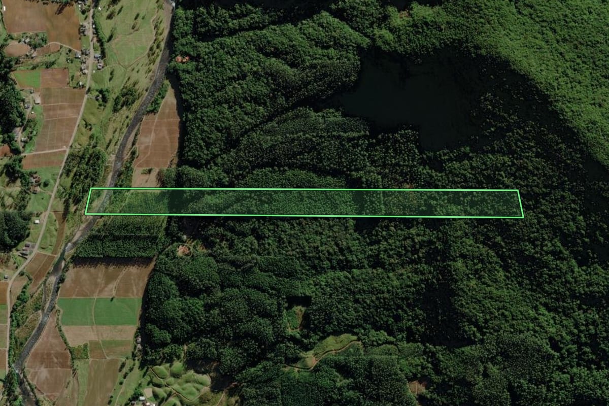 Imagem de satélite do imóvel rural em Morro Grande (SC), com o contorno declarado no CAR desenhado por cima.